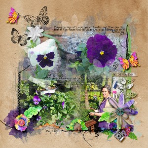 Pansies