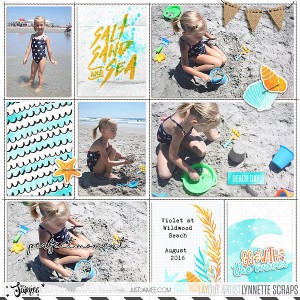 sun, sand & the sea