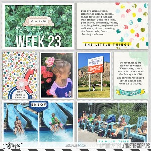 2017 week 23, left side