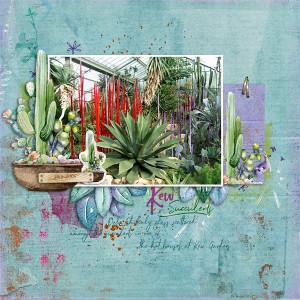 Succulents