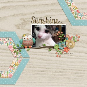 sunshine