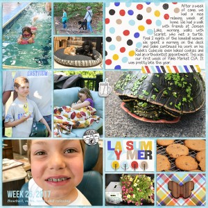 2017-Week-26