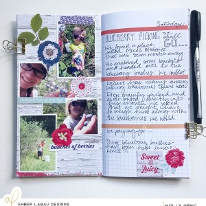 TN Blueberry Picking Layout