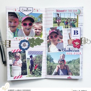 Blueberry Picking! TN Layout