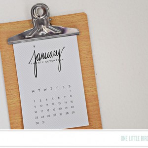 One Little Bird - This Year