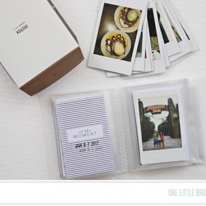 One Little Bird - All Things Considered