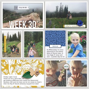 2017 week 30 - left side