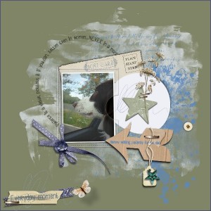 Dawn Inskip Sept-oct Challenge