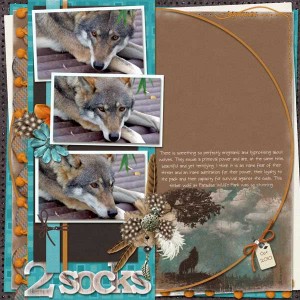 Dreamcatcher Two Socks