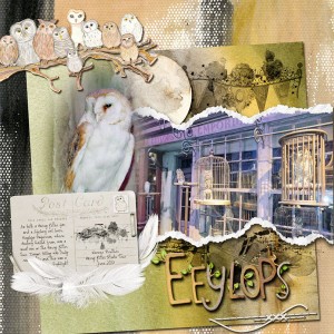 Owl Kingdom Eeylops