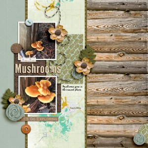 Mushrooms