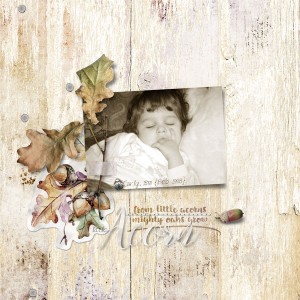 little acorn