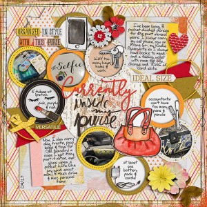 Inside-My-Purse