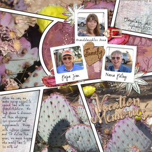 Sep2017_lbw Template Chall_web
