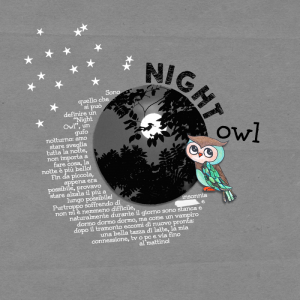 Night Owl