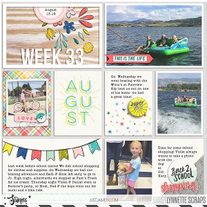 2017 week 33 - left side