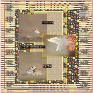 Amber LaBau-September Template Challenge-Bird Beauties