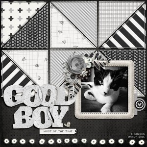 Good boy