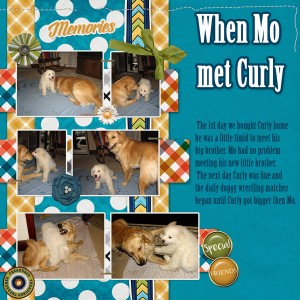 When-Mo-met-Curly