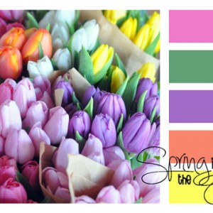 Spring is in the Air