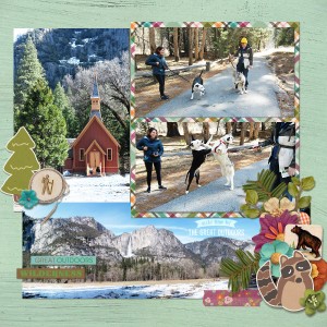 Yosemite part 2 (R)