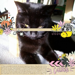 Catitude_
