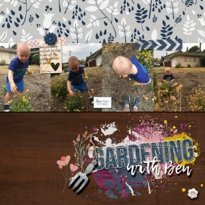 GardeningWithBenOct2017PC