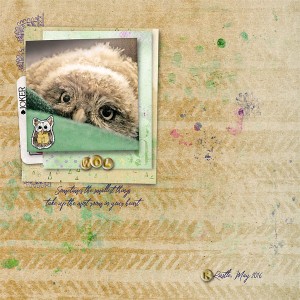 Wol