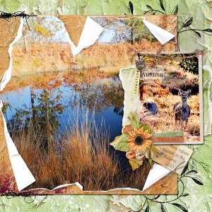 Cozy Scrapbook