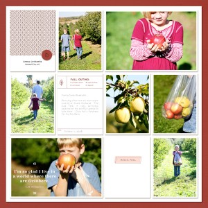 Apple Picking 2008