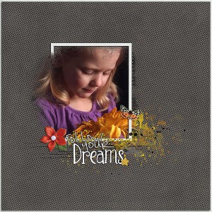 follow your dreams