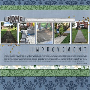 Home Improvement