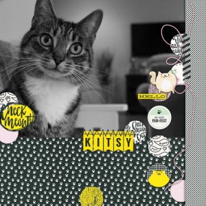 Hello Kitsy