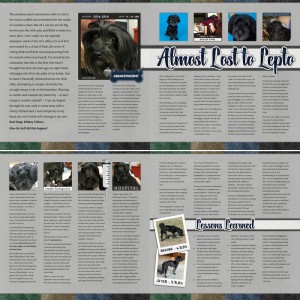 Almost Lost to Lepto (4-page spread)