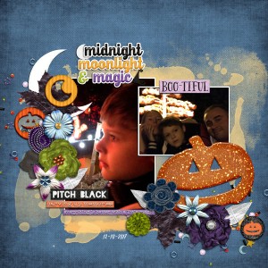 Midnight Moonlight and Magic