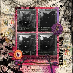 Black Cat
