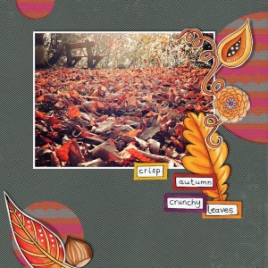 17nov01_leaves01