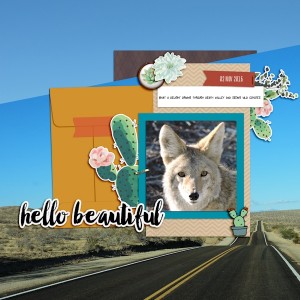 16nov_coyote