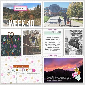 2017 Week 40 - left side