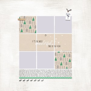 dyd 17 foundation page 1