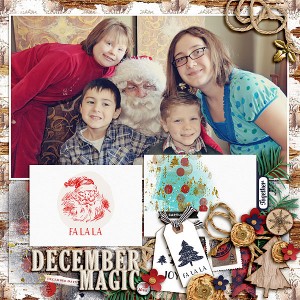 Fdd_DecemberDetails_tp27