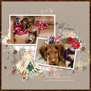 Joy For Toys