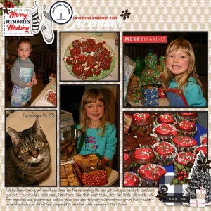 2011-12-14-fdd_DecemberDetails_tp24