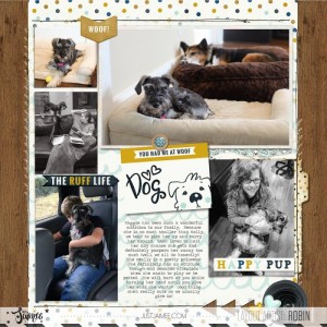 Robin_Dogs OL TLP