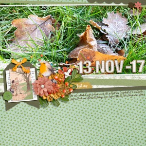 Nov-17 Photography challenge