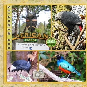 Columbus Zoo - Congo African Forest, left side