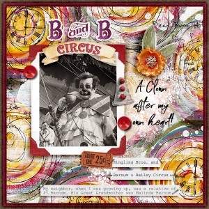 B and B Circus