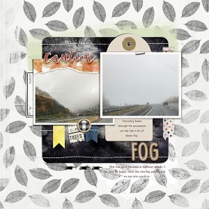 Caution Fog