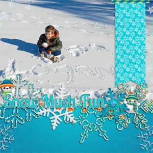 SnowMuchFun