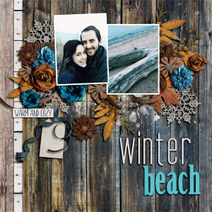 Winter Beach